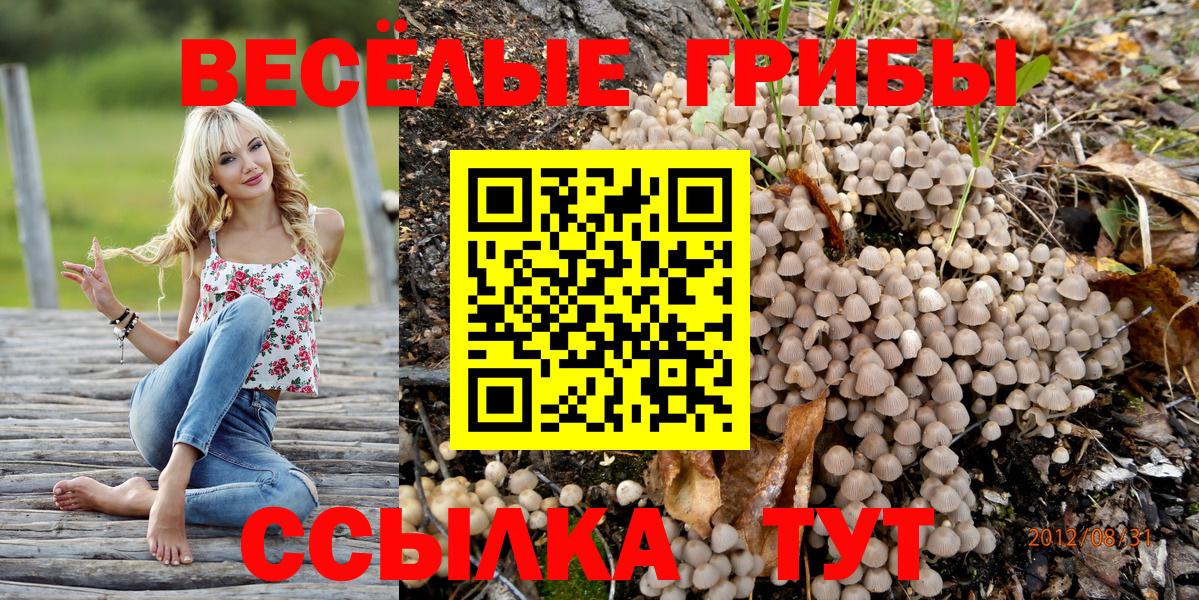 Псилоцибиновые грибы Psilocybine cubensis  Псилоцибиновые грибы Psilocybine cubensis  Вход с VPN  Полевской 