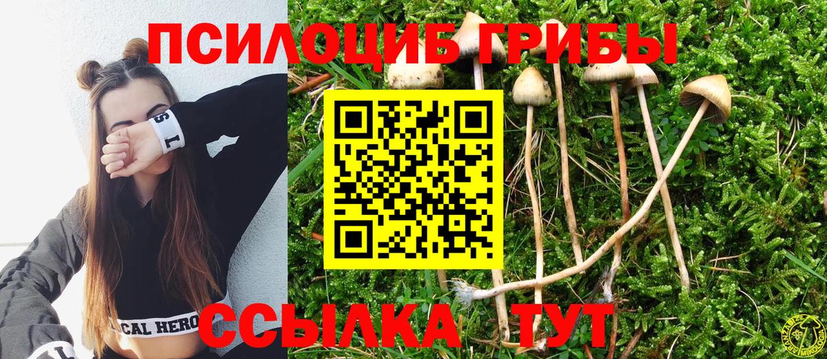 Галлюциногенные грибы мухоморы Полевской